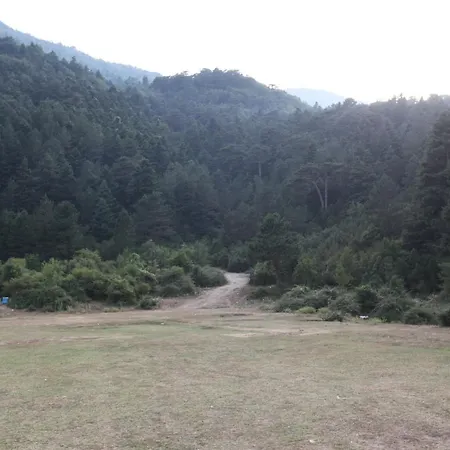 Hamiti Center * Dukat