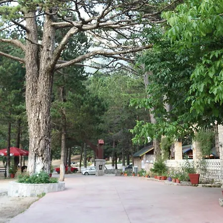 Hamiti Center Кемпинг